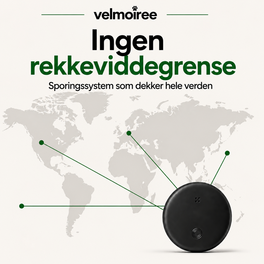 Smart halsband för katter – Velmoiree™ Svart