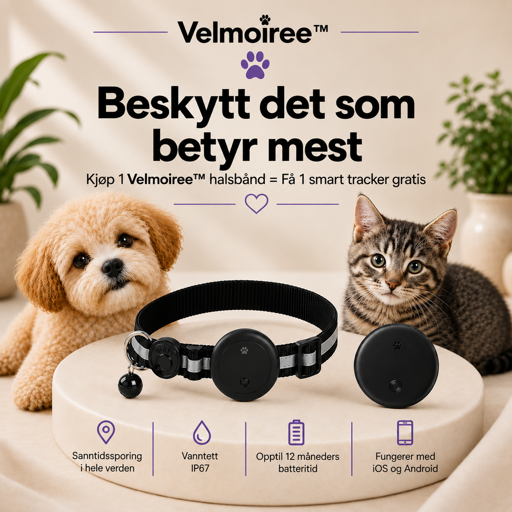 Smart halsband för katter – Velmoiree™ Svart