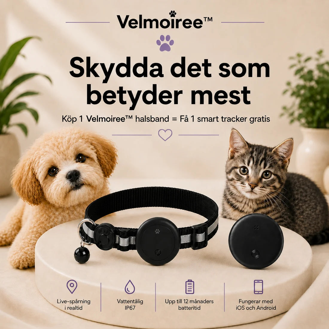 Smart halsband för katter – Velmoiree™