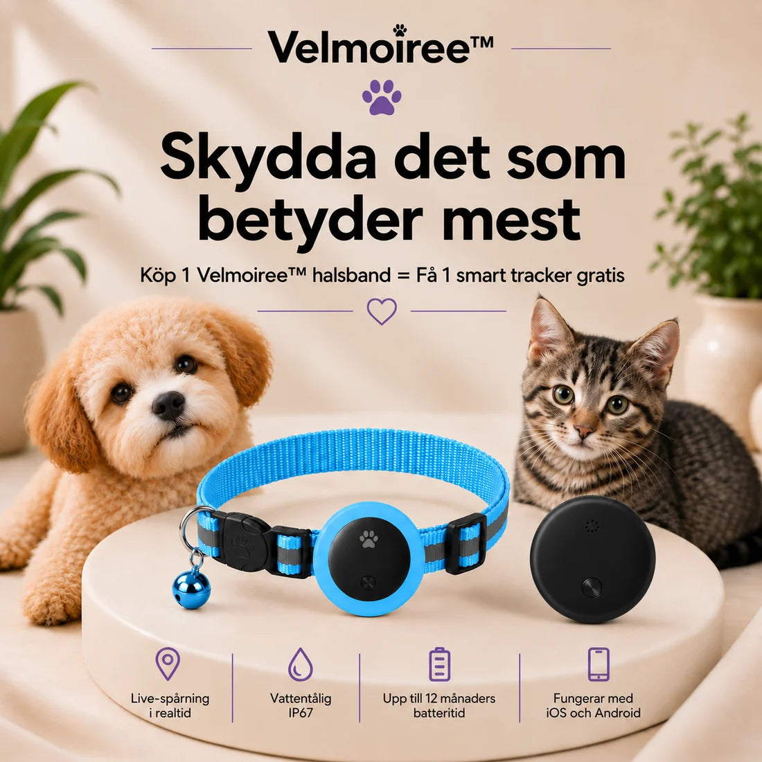 Smart halsband för katter – Velmoiree™ Blå