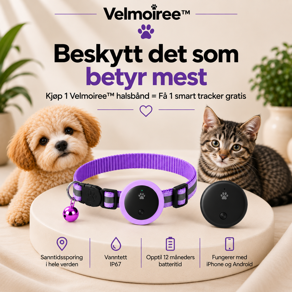Smart halsband för katter – Velmoiree™ Lila